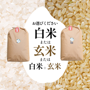 令和6年産　ふじもとファームの新米【コシヒカリ9kg】 精米3kg×3箱