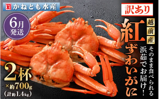 【訳あり】≪浜茹で≫越前産 紅ずわいがに 約700g × 2杯 食べ方しおり付【紅ズワイガニ カニ かに 蟹 姿 ボイル 冷蔵 福井県】【6月発送分】 [e14-x025_06]