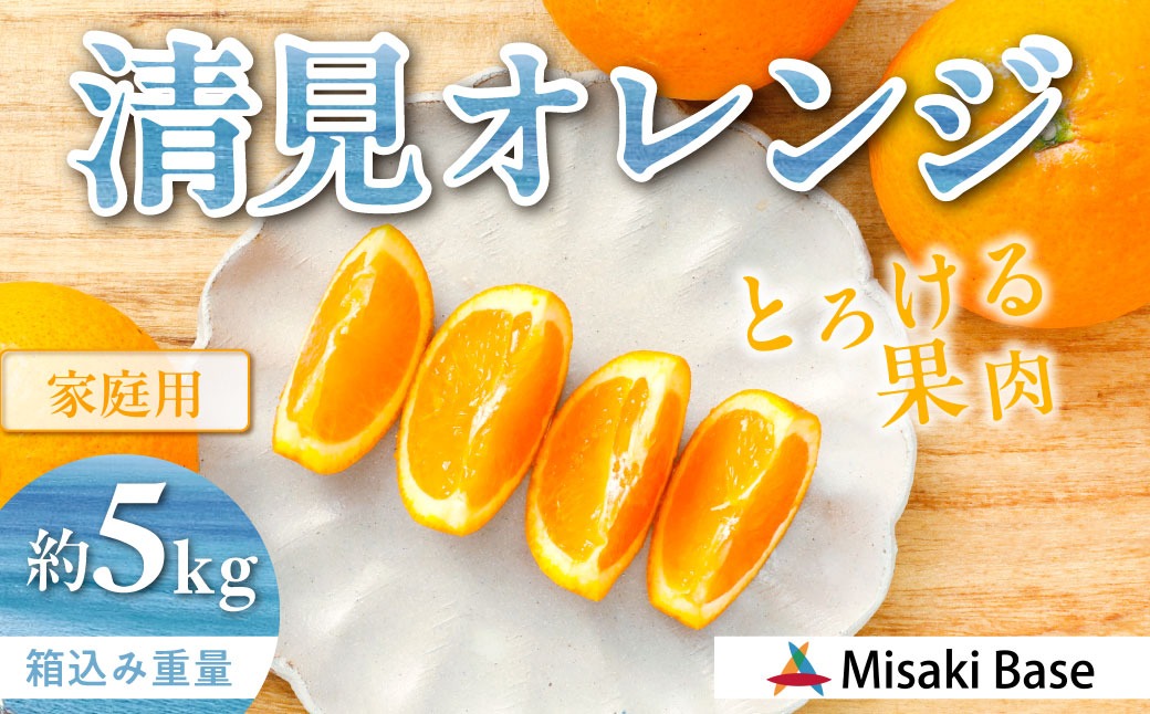 【先行受付】【家庭用】清見オレンジ 5kg ※離島への配送不可 （2026年3月中旬より順次発送） IKTAB007 