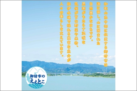 紀州南高梅　しそ漬梅干し　1.2kg　家庭用（B級、C級）