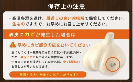 にんにく 秀品　由良の生にんにく 2kg / ニンニク 生ニンニク ガーリック ※2027年4月下旬より順次発送【ksnw006】 