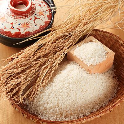 ふるさと納税 下呂市 (2026年10月から順次発送)【2026年産】こしひかり 5kg 【51-15】 |  | 01