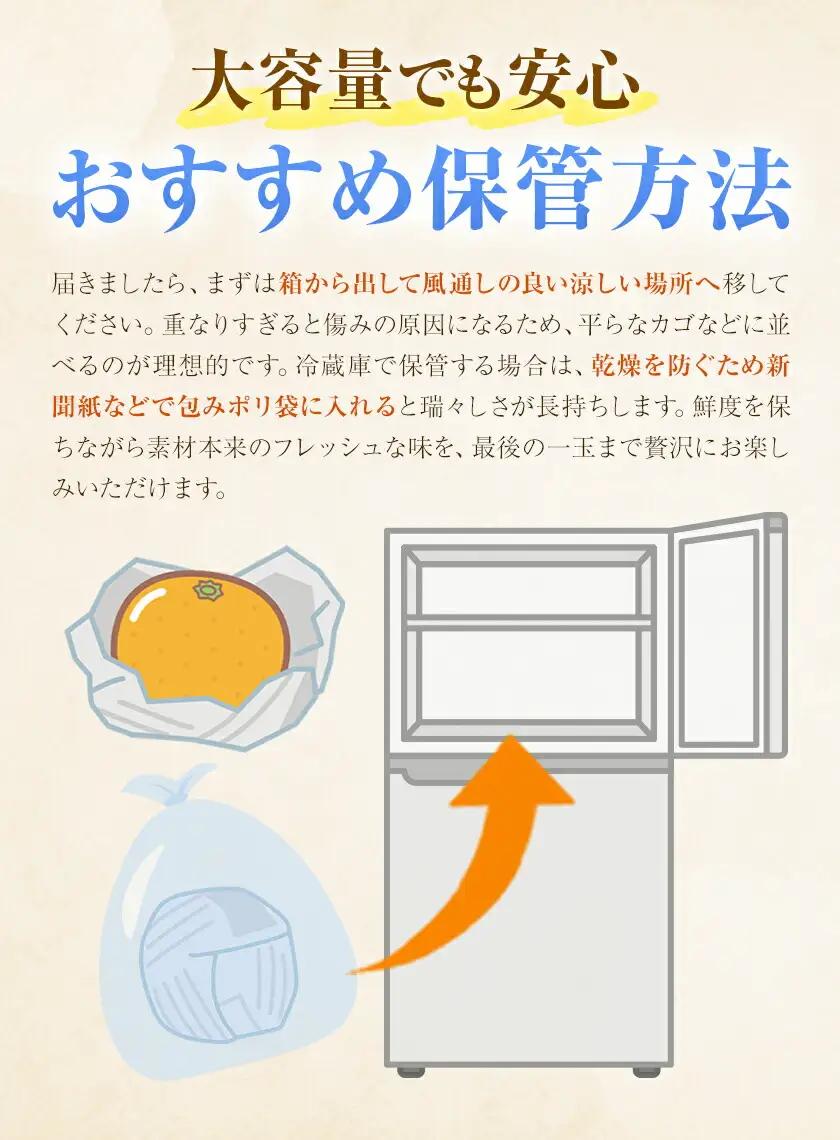 極早生みかん10kg 高橋商店《9月下旬-10月中旬頃出荷》