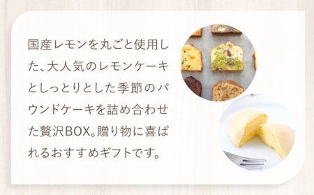 ＼2024年1月16日以降順次発送／　レモンケーキ・季節のパウンドケーキBOX【ルポ】 [TBN010]