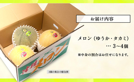 【先行予約2026年産】長谷川さんが作ったメロン3～4個（ゆうか・タカミ）　7月～8月発送　青森県鰺ヶ沢町産 果物類 メロン青肉 フルーツ 3～4玉 