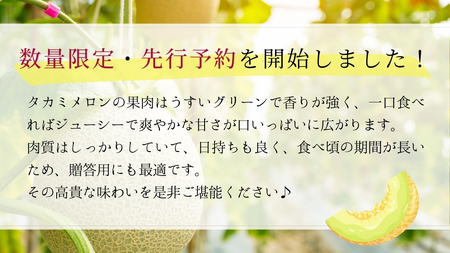 先行予約 タカミ メロン 秀品 1箱 2玉 入り 【 6月中旬 以降発送】  期間限定 産地直送 果物 フルーツ メロン 青肉 甘い [AV010ya]