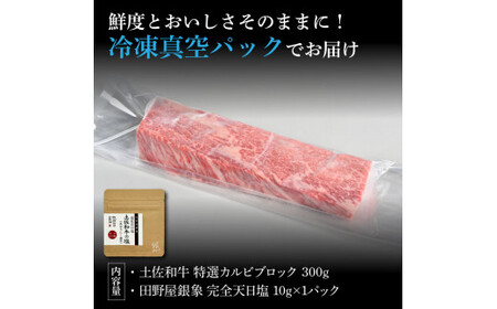土佐和牛 特選カルビブロック300g 田野屋銀象完全天日塩1P付き 特選 長期熟成肉 田野屋銀象 完全天日塩付き カルビ 牛肉 ブロック 肉 お肉 和牛 国産 牛【株式会社LATERAL】 [BQAU