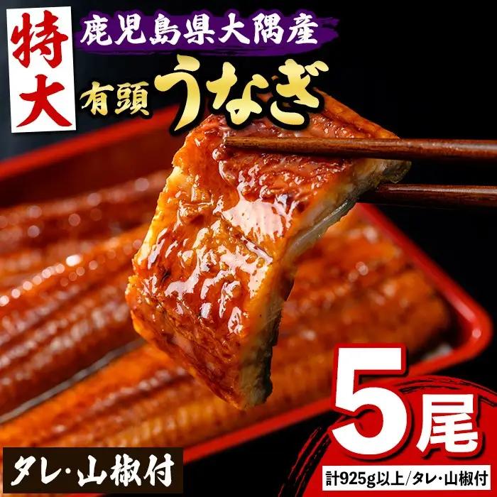 国産 鰻 蒲焼 5尾 計925g以上 うなぎ 鰻 有頭 特大【一般社団法人きもつき宇宙協議会】C57006