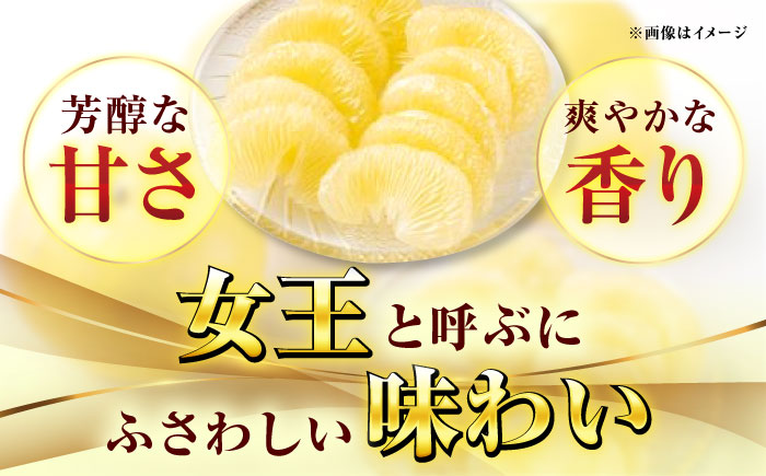 高知県産 水晶文旦 約3kg 6玉入 贈答用〈2026年9月下旬～11月上旬頃発送〉 /  高知 水晶 文旦 柑橘 果物 フルーツ くだもの 贈答 お中元 お歳暮 ギフト ぶんたん 【株式会社　四国健