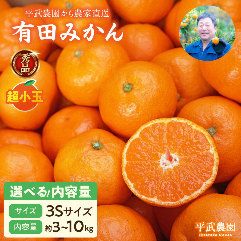 【ふるさと納税】【平武農園より農家直送！】 有田みかん 3Sサイズ 秀品 超小玉 選べる 内容量 3kg ～ 10kg ミカン 柑橘 フルーツ 温州みかん 濃い 甘さ 酸味 濃厚 農家直送 こだわり 和歌山 有田 田口みかん 田口地区 和歌山県 湯浅町 送料無料