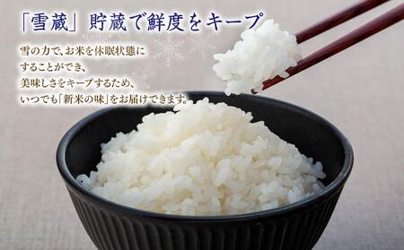 【５か月定期便】雪蔵工房２種セット（おぼろづき５ｋｇ、ななつぼし５ｋｇ）定期便 １０ｋｇ×５回