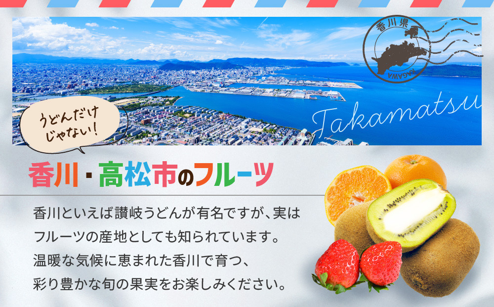 【12回毎月お届け】高松市自慢のフルーツ定期便【L】