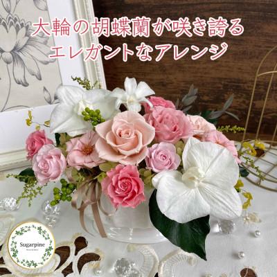 ふるさと納税 春日部市 プリザーブドフラワーアレンジ【ルクール/ピンク】春日部市 シュガーパイン　