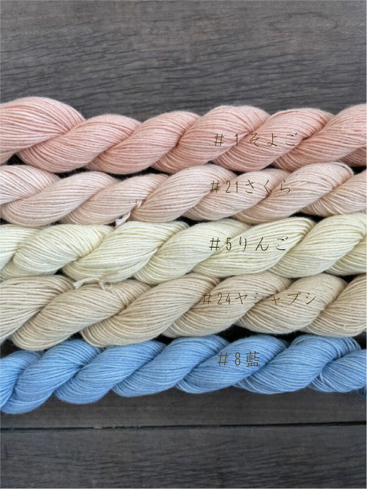 【ふるさと納税】 長野県麻績村 草木染 刺し子糸 10g×5色セット 刺繍 no.10