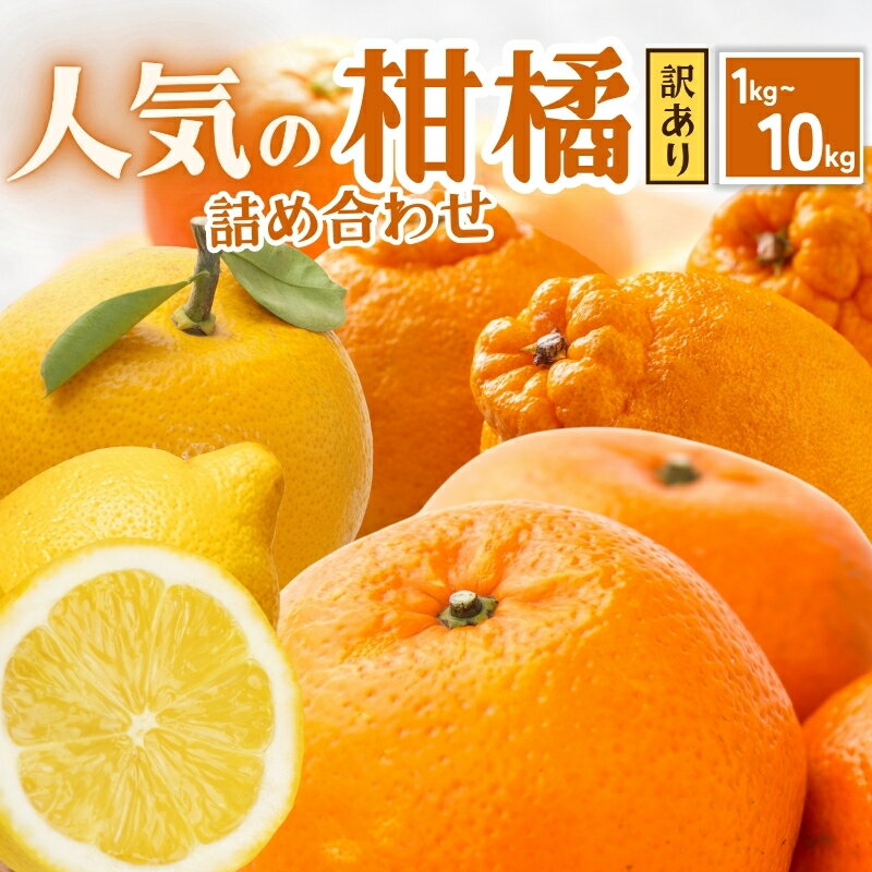 【ふるさと納税】家庭用 柑橘詰合せ 【選べる容量】 1kg 2.5kg 5kg 7.5kg 10kg【訳あり・わけあり】【有田の春みかん詰め合わせ・フルーツ詰め合せ・オレンジつめあわせ】【光センサー選別】＜2025年1月〜4月下旬ごろに順次発送＞ / みかん セット 有田みかん 柑橘