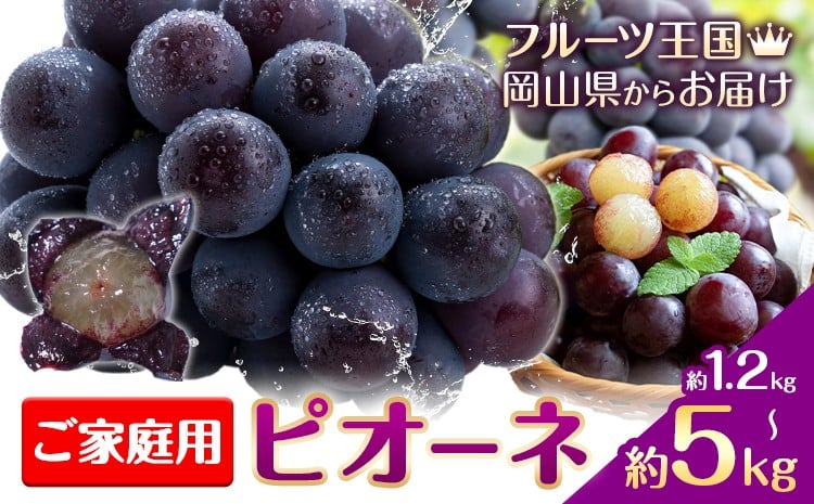 
                  【2026年先行予約】ぶどう ご家庭用 ピオーネ 約1.2kg 約2kg 約5kg 2房~13房 もりおか農園《2026年9月上旬-10月上旬頃出荷》岡山県 浅口市 送料無料 ぶどう フルーツ 果物 くだもの デザート おやつ【配送不可地域あり】
                