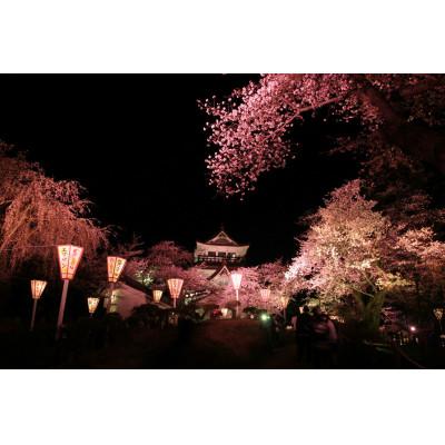 ふるさと納税 横手市 秋田県産自家採集　はちみつ　さくら蜜　1200g |  | 02