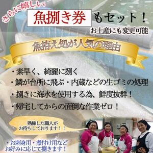 釣り船 乗船券 (100,000円分) 魚捌き利用券付き ルアー乗合・大物乗合・中物乗合・仕立船【1476032】