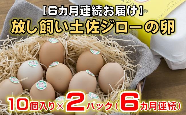 
            【6カ月連続お届け】 放し飼い 土佐ジロー 卵　20個 入り 6ヶ月 定期便 6回  土佐 地鶏 地鶏卵 天然卵 特産品 濃厚 卵かけご飯 TKG だし巻き卵 人気 高知 黒潮町 ふるさと納税卵 ［1239］
          