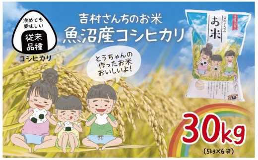 
DE300 ｜従来品種｜ 魚沼産 コシヒカリ 5kg ×6袋 計30kg 米 こしひかり お米 コメ 新潟 魚沼 魚沼産 白米 送料無料 新潟県産 精米 産直 農家直送 お取り寄せ 吉村さんちのお米 新潟県 十日町市
