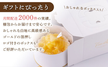 【全6回定期便】 パイナップルチーズタルト1ホール(14cm)【心優　－Cotoyu Sweets－】[KAA534]