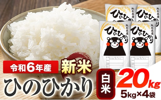 
										
										令和6年産 新米 早期先行予約受付中 ひのひかり 白米 20kg 《11月‐12月より出荷予定》 熊本県産 白米 精米 ひの 送料無料 熊本県 山江村---ym_hn6_af11_24_36000_20kg_h---
									