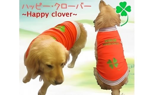 超大型犬用 犬服 【男の子用】