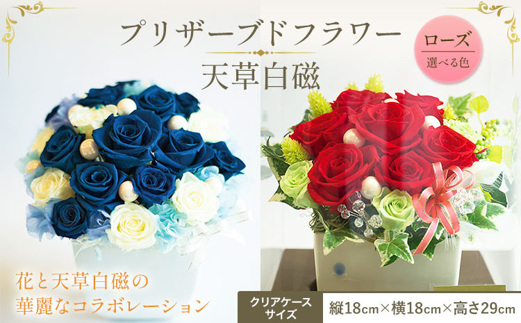 
            プリザーブドフラワー 選べる ブルーローズ レッドローズ 天草白磁《90日以内に出荷予定(土日祝除く)》 熊本県 苓北町 花 はな フラワー ローズ バラ 薔薇 青 青薔薇 アレンジメント 内田皿山焼 花瓶 インテリア
          