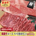 【ふるさと納税】【化粧箱入り・最高級A5等級】飛騨牛ロース・モモ焼肉セット計500g(牛脂付き)【配送不可地域：離島】【1488825】