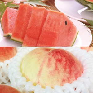 【旬のくだもの定期便】和歌山県の旬のフルーツをお届け！　全6回【Ｓ】（配送日時指定不可）※北海道・沖縄・離島への配送不可 / 定期便 フルーツ みかん いちご 清見オレンジ すいか 桃 柿 6回 【a