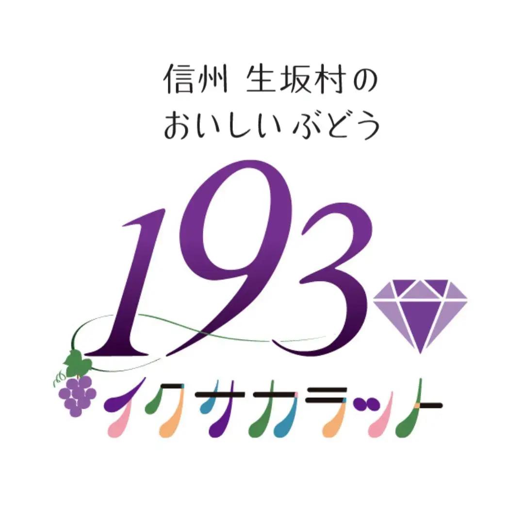 ウインク　約1.1kg（２房）| ぶどう ぶどう
