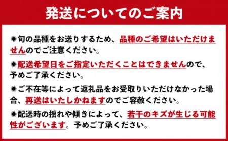 【予約受付中・2026年8月上旬頃より順次発送】川添果樹園の特選梨 約5kg フルーツ 果物 梨 ナシ 完熟梨 季節の梨 くだもの 　特選