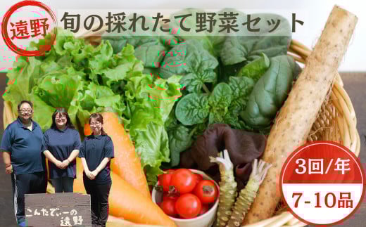 【 3回 定期便 】 旬の採れたて野菜の詰め合わせセット（7～10品）レギュラーサイズ【こんたでぃーの遠野】
