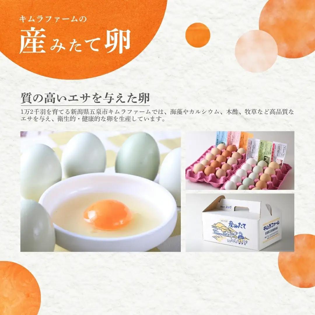 産みたて 6色たまご詰合せ 60個