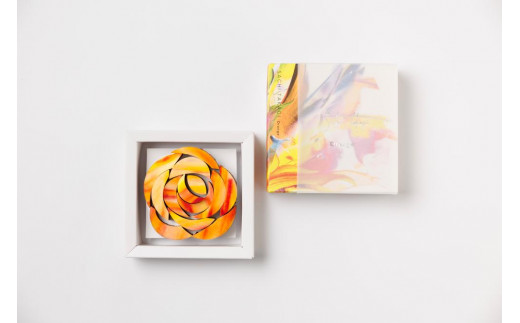 
【GOOD NATURE STATION】Sachi Takagi「Orange」
