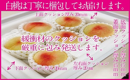 桃 2024年 先行予約 岡山の白桃 250g以上×6玉 白桃 旬 みずみずしい 晴れの国 おかやま 岡山県産 フルーツ王国 果物王国