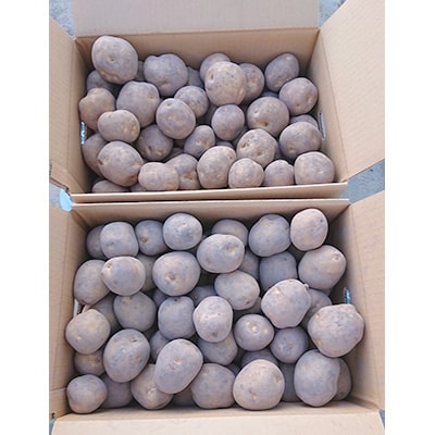 佐藤農場のじゃがいも「とうや」20kg【配送不可地域：離島・沖縄県】