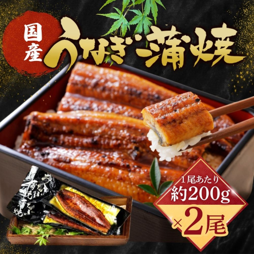 【国産うなぎ蒲焼】200g×2尾（合計400g）