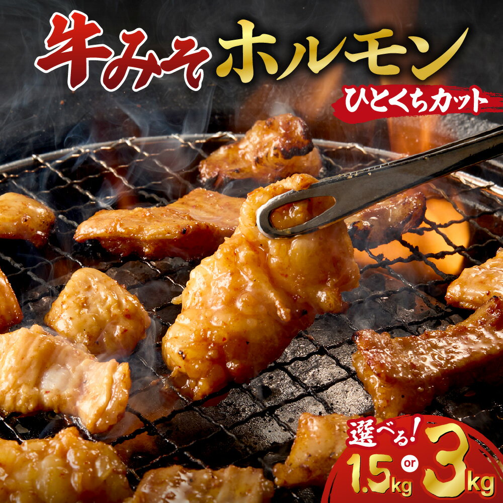 【ふるさと納税】 牛みそホルモン 【 選べる 容量 】 計1.5kg 計3kg 一口サイズ 食べやすい 小分け 各300g 5パック 10パック 牛ホルモン シマチョウ 味付き 味噌 牛肉 肉 焼き肉 ホルモン 焼肉 BBQ おつまみ おかず 冷凍 北海道 札幌市
