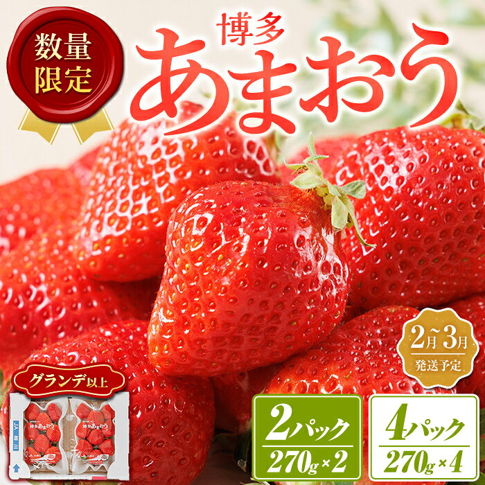 【ふるさと納税】＜数量限定・容量を選べる・先行予約受付中！2027年2月下旬～3月末に順次発送＞福岡県産苺「あまおう」グランデ以上(計約540g or 1080g)いちご 苺 フルーツ 果物 くだもの 福岡限定 家庭用 冷蔵 ＜離島配送不可＞【ksg1895・ksg1896】【hurrah.】