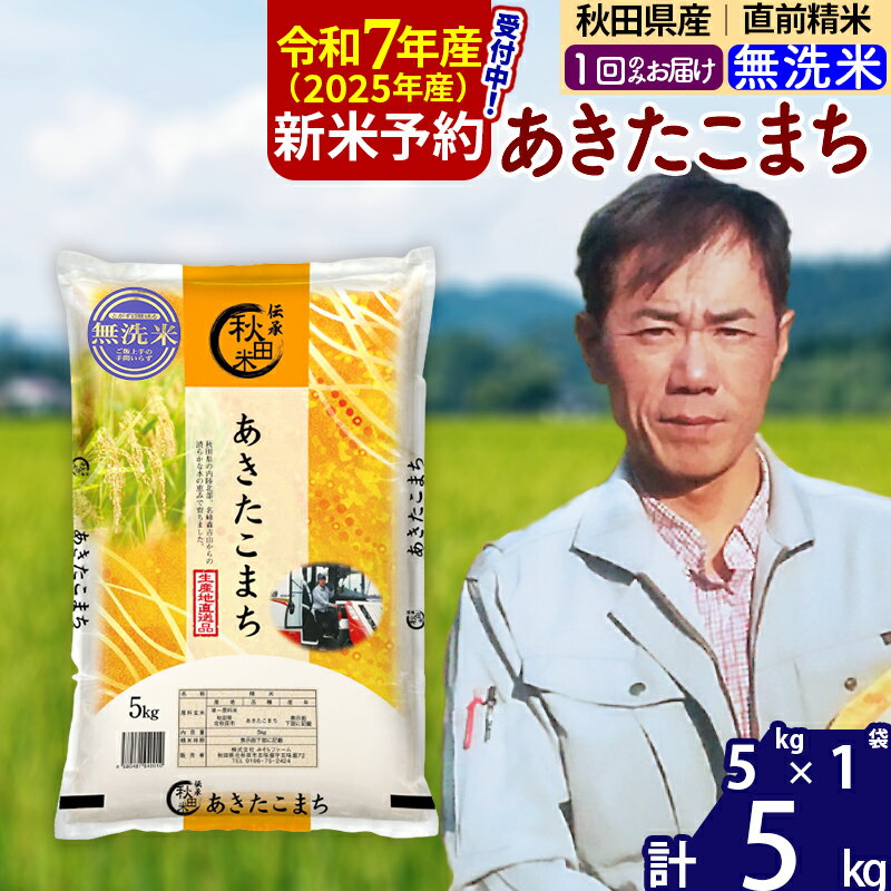 【ふるさと納税】※令和7年産 新米予約※秋田県産 あきたこまち 5kg【無洗米】(5kg小分け袋)【1回のみお届け】2025産 お米 みそらファーム