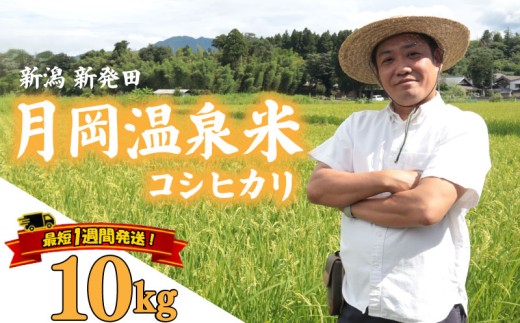 【最短1週間発送!！】 新潟県産 コシヒカリ 10kg （5kg×2袋） 令和8年産 月岡温泉米 こしひかり 月岡温泉 お米 こめ ご飯 ごはん おいしい 新潟 新潟県 米 新発田産 新潟産 朝食 昼食 夕飯 炊きたて 精米 watasho002_2026