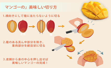 沖縄SV　TAKAマンゴー