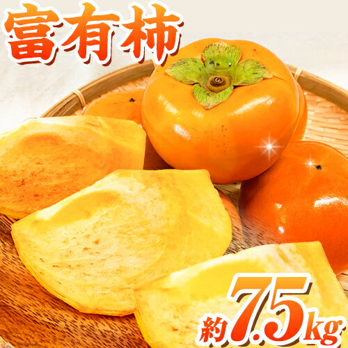 【ふるさと納税】＊先行予約＊和歌山 秋の味覚 富有柿 約7.5kg 株式会社魚鶴商店《2026年11月中旬-12月上旬頃出荷》和歌山県 日高町 柿 富有柿 フルーツ