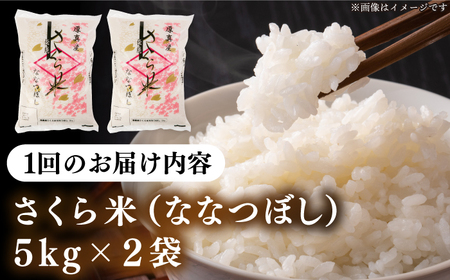 【全6回定期便】【新米 令和7年産】一等米 さくら米（ななつぼし）10kg 6ヵ月 半年 毎月 お米 白米 ななつぼし 特A 一等米 北海道 [AXAB023]