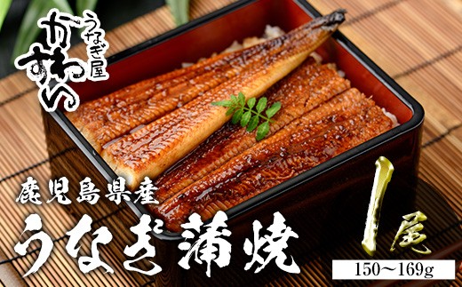 ＜うなぎ屋かわすい＞鹿児島県産 国産うなぎ蒲焼 (1本・150～169g) タレ入り 鰻 うな重 かばやき【川口水産】A853