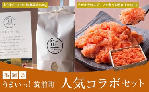 【うまい筑前町！人気コラボセット】 「さかえやのスプーンで食べる明太子900g」＆「むぎわらFARM 無農薬米3kg」