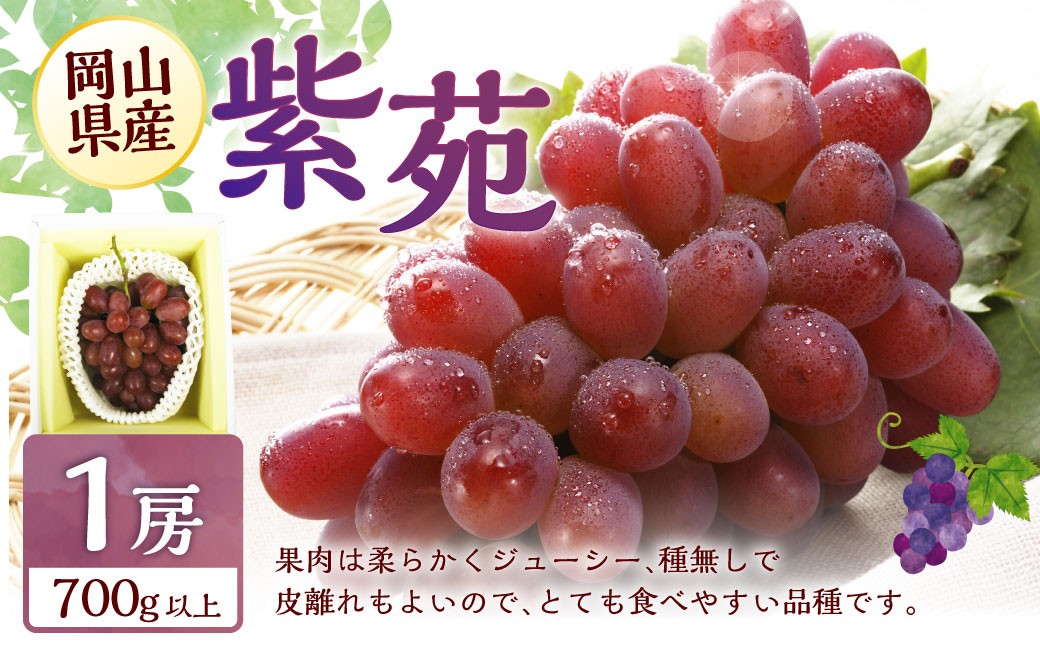 
            冬 ぶどう 2026年 先行予約 紫苑 1房 700g以上 【2026年10月下旬～11月下旬 発送予定】 環山堂 岡山県 葡萄 ぶどう 果物 フルーツ くだもの お取り寄せ 贈り物 ギフト 国産
          