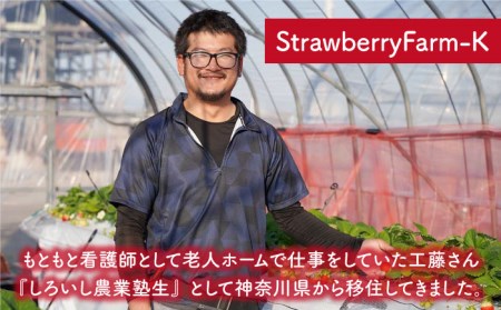 【先行予約】【3回定期便】赤いちご食べ比べ！かおり野＆いちごさん 定期便 /赤いちご いちご食べ比べ さっぱりとした甘さのいちご お試しパックいちご イチゴ 苺 佐賀県産いちご ブランドいちご かおり