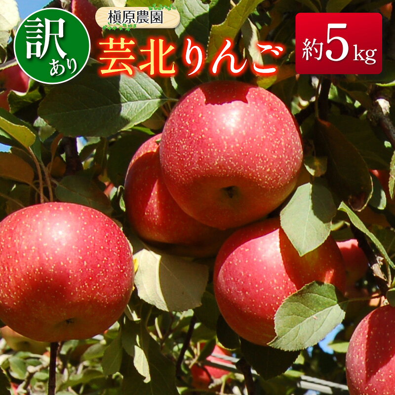 【ふるさと納税】≪10月中旬以降発送≫りんご 訳あり ご家庭用 約5kg 槇原農園の芸北りんご 農家直送 トキ 早生ふじ 千秋 シナノドルチェ シナノスイート ぐんま名月 シナノゴールド ふじ